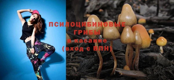 a pvp Киренск