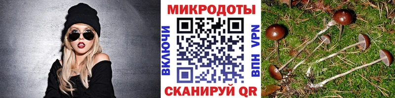 Псилоцибиновые грибы ЛСД  Купить  Динская 